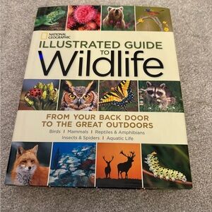 National Geographic Illustrated Guide to Wildlife - Multicolor